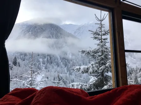 Ayder Dağ Evi Отели в г. Yukarisimsirli Koyu