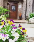 Rupe Antica - homestay