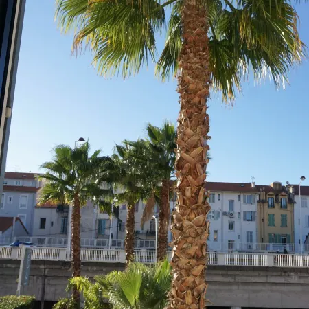 Villa Pruly Hotel Cannes Centre