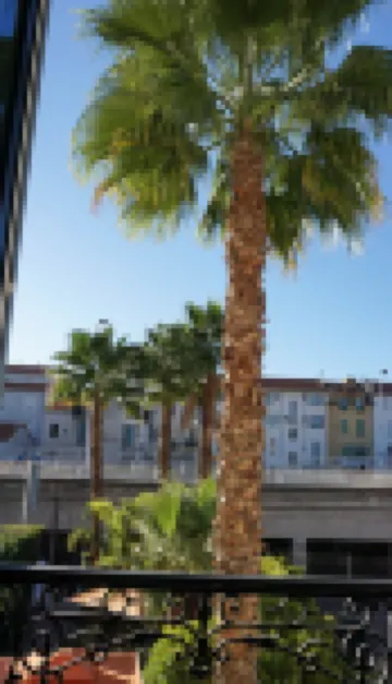 Villa Pruly Hotel Cannes Centre