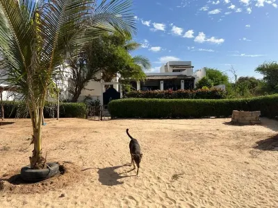 Bine Bassile Hotel dekat accrobaobab adventure