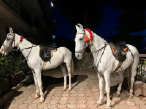 Ortus - Murree Hills Hotels in Murree