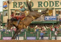 새로운 마운틴 뷰 리트리트, 핫 터브와 미니 골프 있음 버지니아시티 호텔