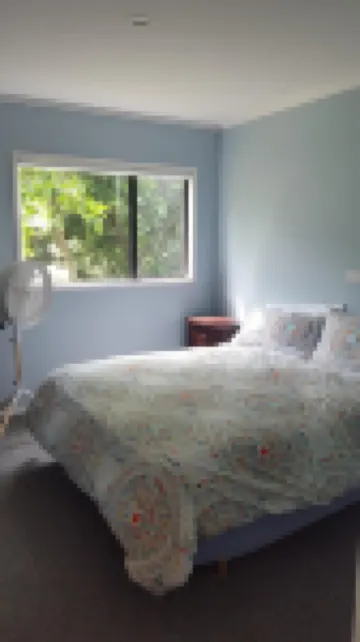 Quiet self-contained 3 km from Nelson CBD