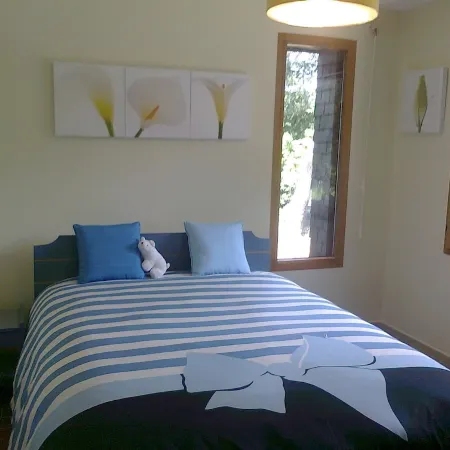 Architect house on the banks of the Auray river on 2000 m2 of pine forest