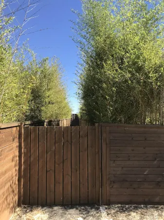 Wooden villa facing the sea Отели рядом с достопримечательностью «Aqualand Bassin d Arcachon»