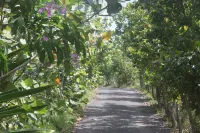 Rincon Vista, private setting with spectacular views, now ready for your booking Hotels in Calvache