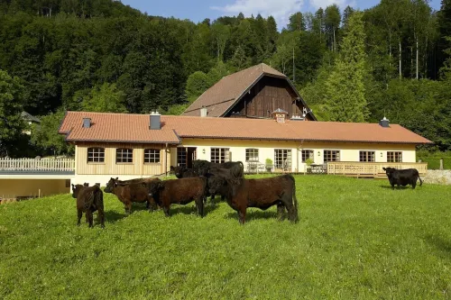 Farm above the roofs of the festival city of Salzburg | top 1