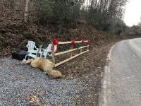 Whistling Holler Cabins -  “Storyteller’s Shack”