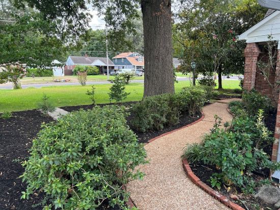 King Bed_Cozy Urban Retreat-Central Memphis