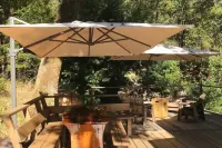 The Cozy Cazadero Cabin with Finnish Sauna