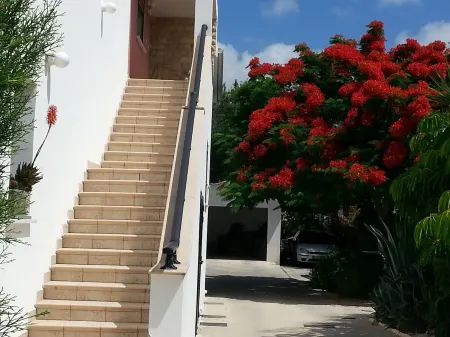 Two very large, bright apartment with private garden, pool and grill