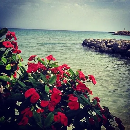 Makrigialos: Artemis holiday Villa with private swimming pool, sea view, Wifi Отели в г. Makris Gialos