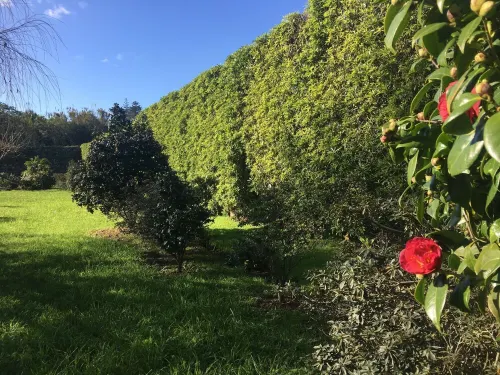 Rural Space & Spa Hotel a Arrifes