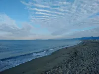 300 mt from the sea, terrace in the green in Viareggio.