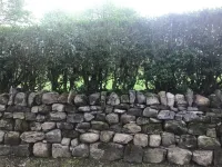 Family & Pet Friendly Restored Cottage in East Mayo with   Bord Failte Award