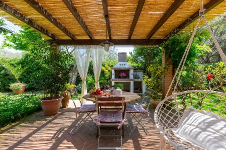 House under the olive trees