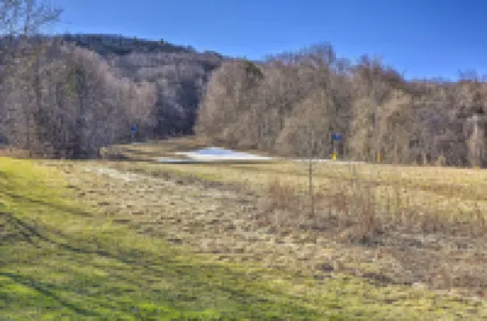 山溪公寓配套烤架：步行至纜車站！ 弗農酒店