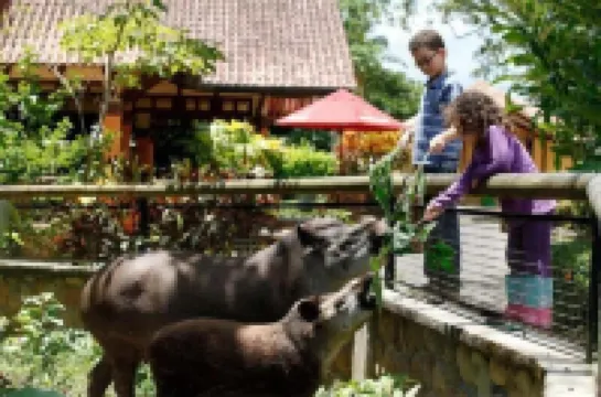 山腳下飯店 住宿飯店