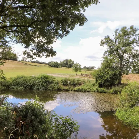 The Moorhen Retreat