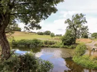 The Moorhen Retreat Hotels in Oswestry