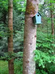 Stowe Cabins in the Woods - Alphydda