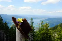 Landhaus am Stein - Mountain view