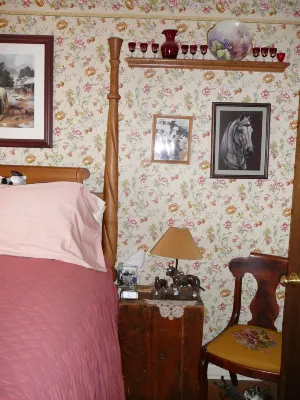Anchorage Farm B&B - Bjergudsigt