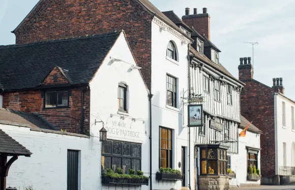 狗與鷓鴣晚安酒店