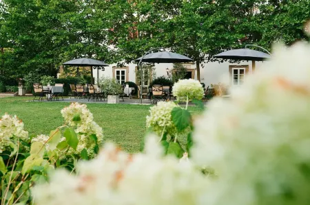 Hotel Schloss Lehen Отели в г. Бад Вимпфен