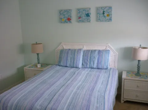 팜 코트 모텔 더니든