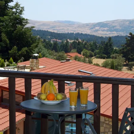 Boutique Hotel Skamnos Arachova
