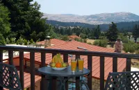 Boutique Hotel Skamnos Arachova - Vuoristonäköala