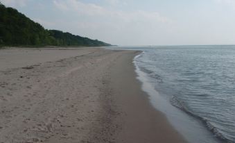 Martha's Vineyard Bed & Breakfast