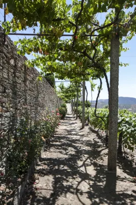 Casa de Casal de Loivos Hotels in 