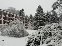 Haus Marienhof Hotels near Drachenfelsbahn