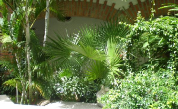 Hotel Encino Malecón Centro Puerto Vallarta