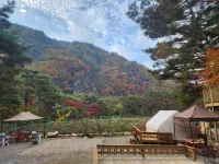 Pyeongchang River Park Glamping & Camping Site Hotels in Yongpyeong-myeon