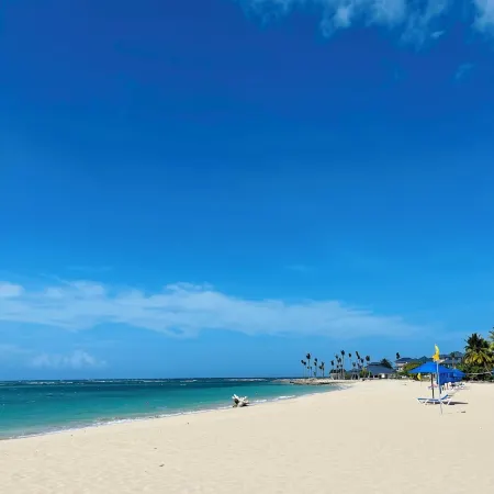Playa Dorada King Bed Beachfront
