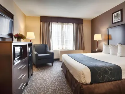 Best Western Gregory Hotel Hotels in New York