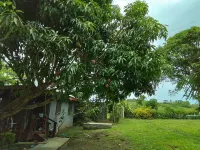Room-private Villa in Tonge, Fiji Hotels near Source Of Sigatoka River