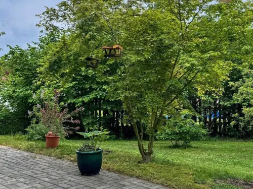 Vacation apartment Roswitha 120 m² in the Lüneburg Heath, large garden/terrace Hotels in Hademstorf