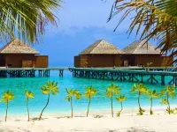 Jerrys Dive Lodge Rasdhoo فنادق في Rasdhoo