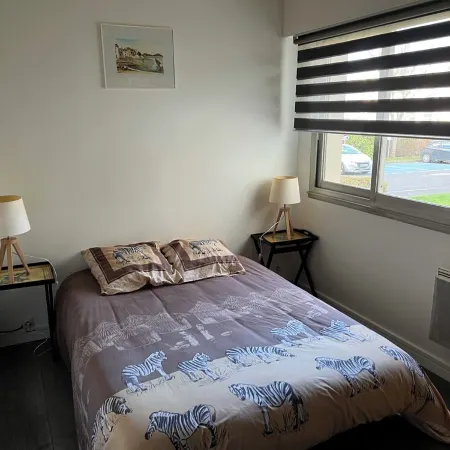 Zenith/Stadium/Expo Park/Sports Palace, Apt 2 rooms 4pers private parking