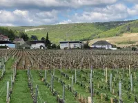 LA Maison Fonteny Gevrey-chambertin au Coeur du Vignoble Hotels in Gevrey-Chambertin