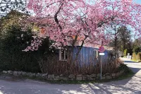 Seeloft Seeshaupt - Loft apartment on Lake Starnberg Hotels in Seeshaupt