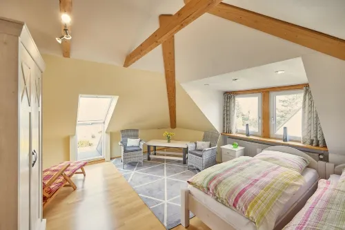 Large (100sqm) modern apartment with roof terrace