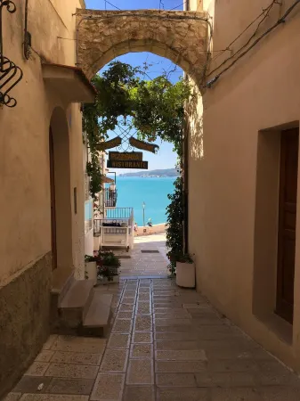 House in the nineteenth-century village