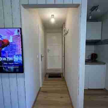 Cozy 1-room apartment Others