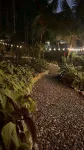 Stingray Cottage , Peaceful Retreat with Pool, Ocean, Mountain, Waterfall Views